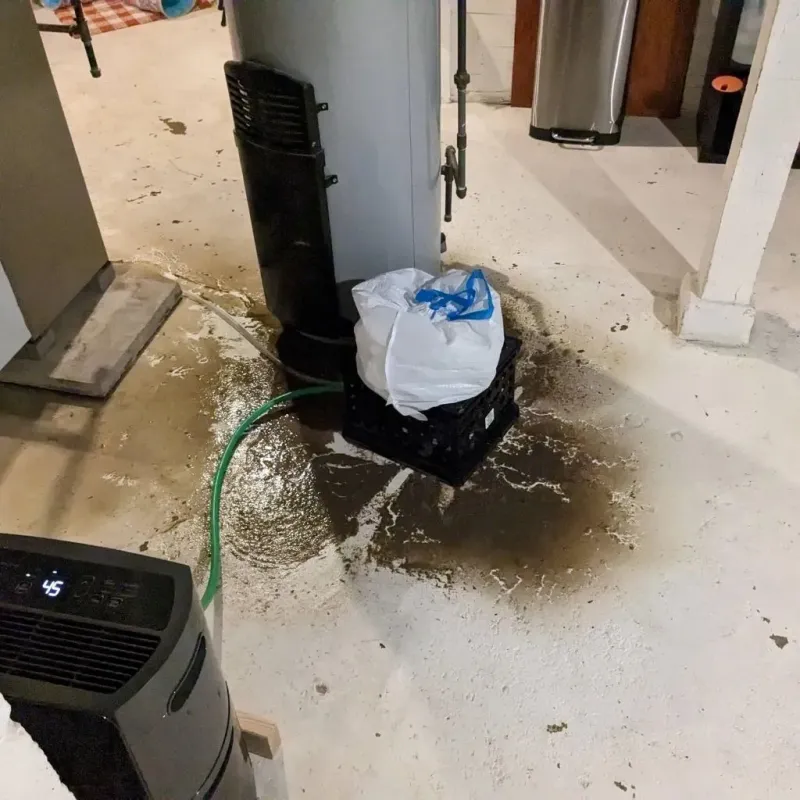 Sewage Backup Cleanup Service in Stapleton, NE
